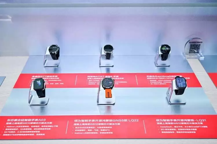 从内卷到破局：穿戴方案如何重构智能手表产业逻辑(图2)