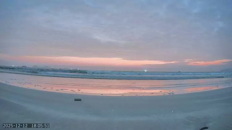 户外安防新纪元:智能算法如何重塑家庭守护体验(图12) 户外安防新纪元:智能算法如何重塑家庭守护体验(图12)