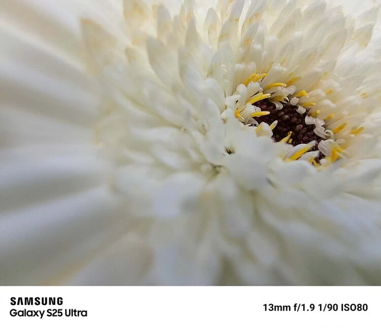 如何用旗舰影像轻松定格节日光影与欢聚时刻(图3) 如何用旗舰影像轻松定格节日光影与欢聚时刻(图3)