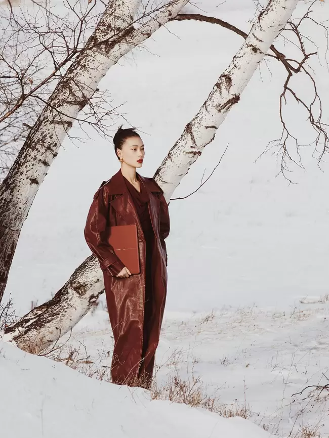 瑞红映雪科技之诗，折叠美学与全能的年末双绝(图1)