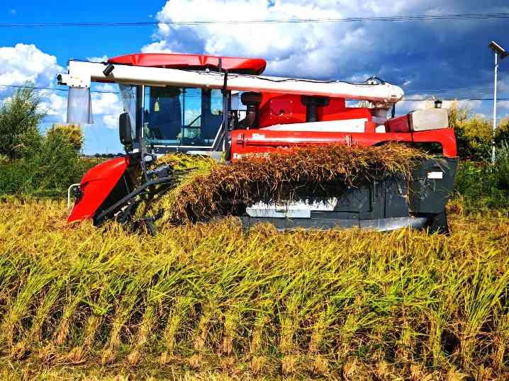 中国三星社会责任成果显著，助力乡村振兴与环保发展(图3)