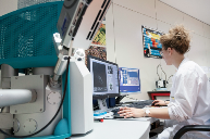 医用级离型膜应用解析：解决个护产品离型难题(图3)