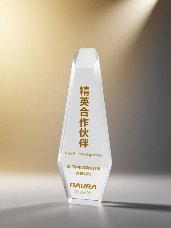 宇电温控科技荣获北方华创精英合作伙伴称号(图1)