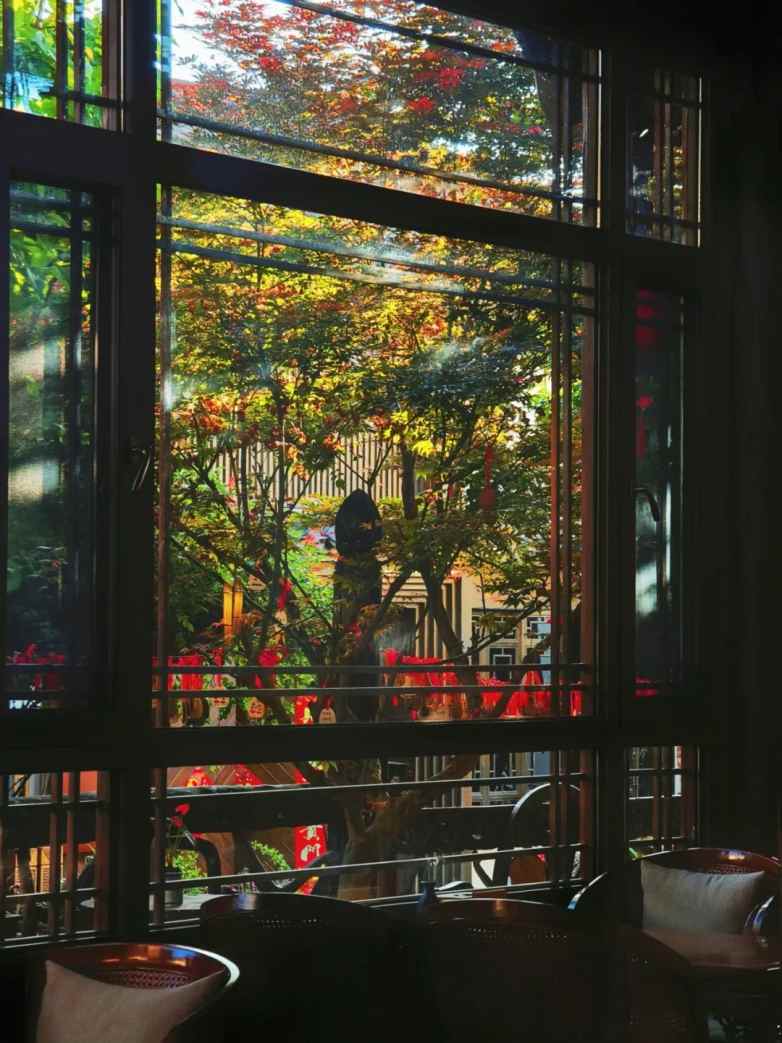 一扇窗，阅尽四季山河之美(图8)