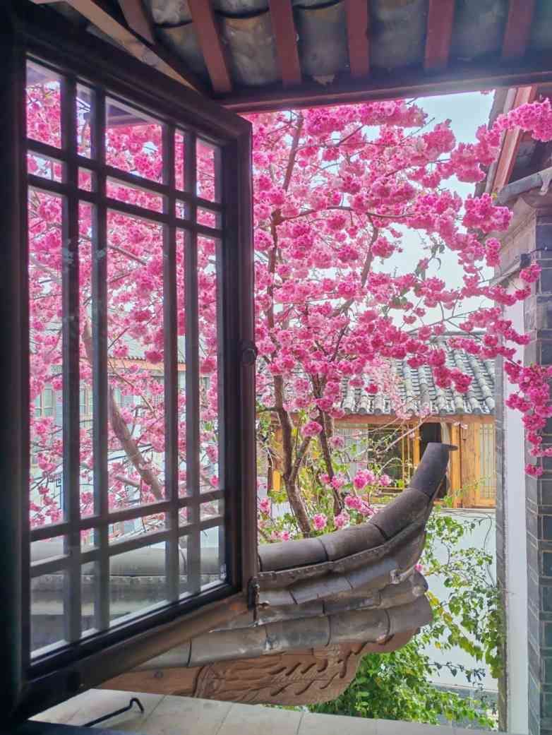 一扇窗，阅尽四季山河之美(图6)