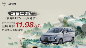 10万左右家用MPV推荐，大通G50混动满足全家出行需求(图6)