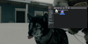 稳定不掉速的移动固态硬盘开箱实测体验(图17) 稳定不掉速的移动固态硬盘开箱实测体验(图17)