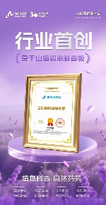 创新板材技术引领情绪价值新潮流(图7)