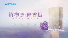 创新板材技术引领情绪价值新潮流(图8)