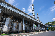 中国香料行业技术创新与全球化发展机遇