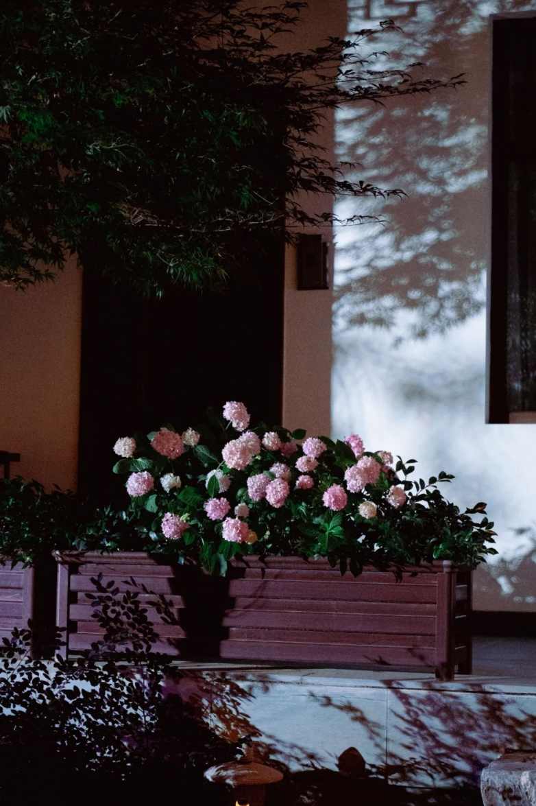 庭院时光，静谧与诗意的栖息之所(图2)