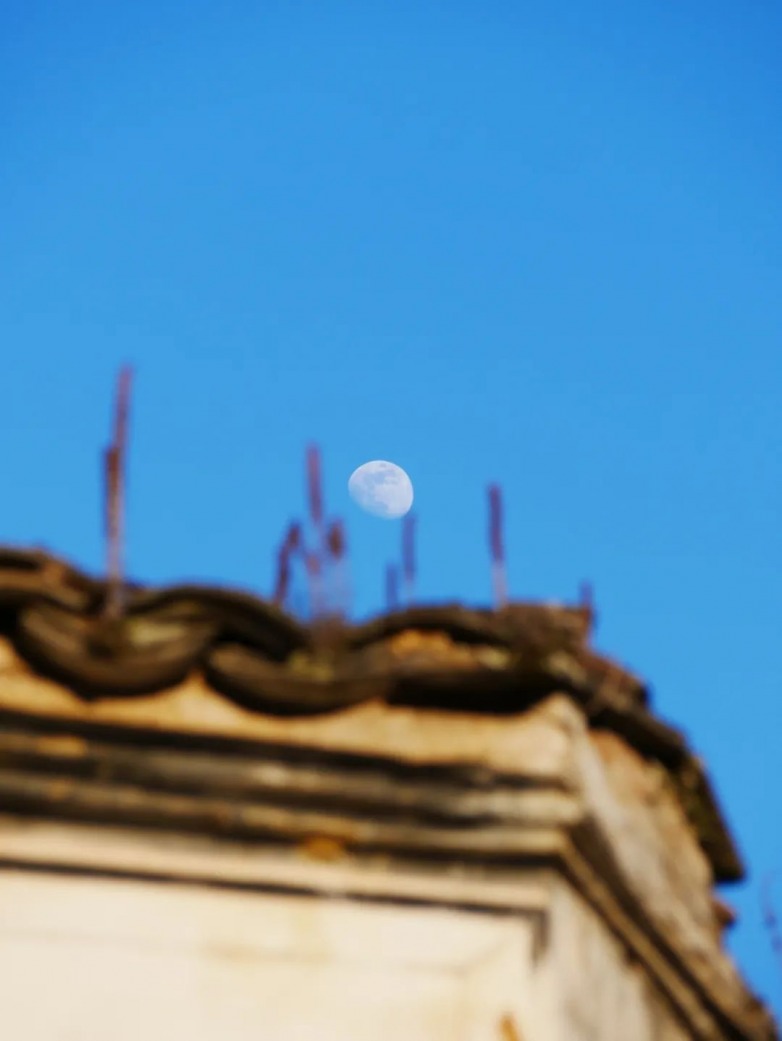 庭院时光，静谧与诗意的栖息之所(图9)