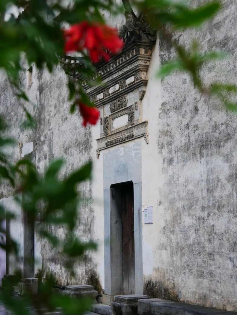 庭院时光，静谧与诗意的栖息之所(图10)