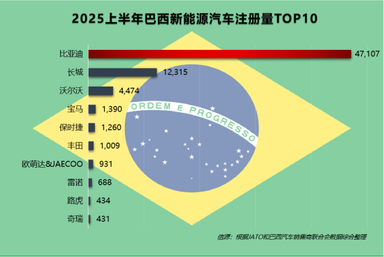 2025上半年巴西新能源汽车注册量TOP10