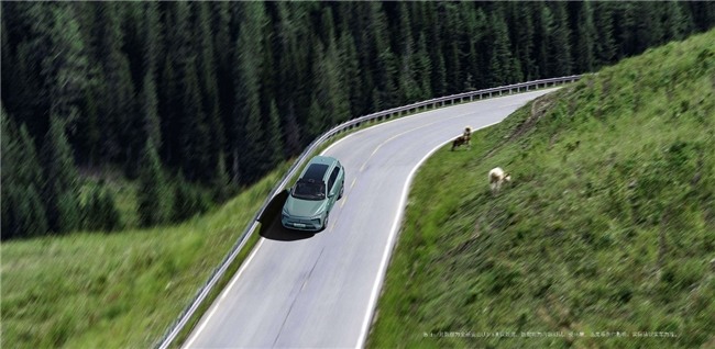 30万级越野SUV选购指南 新能源与性能如何兼顾(图2)