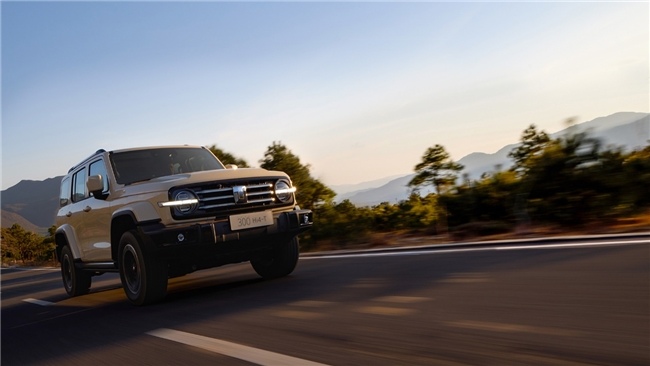 20万新能源SUV多场景优选指南(图2)