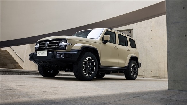 20万新能源SUV多场景优选指南(图3)