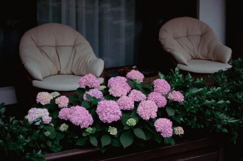 黄山西递古村徽派民宿，推窗尽览江南旧梦与诗意栖居(图16)