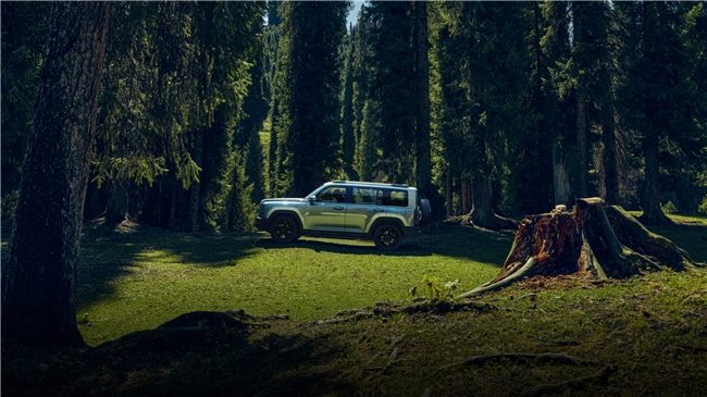 20万左右新能源SUV实力派车型推荐，硬派越野与节能之选