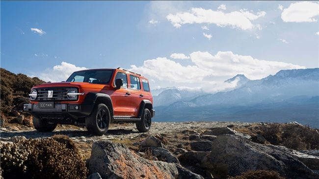 燃油SUV深度对比：越野性能与实用需求全解析(图3)