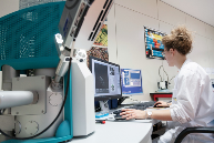 TTS泰得思N15离型膜革新食品包装剥离技术(图3)