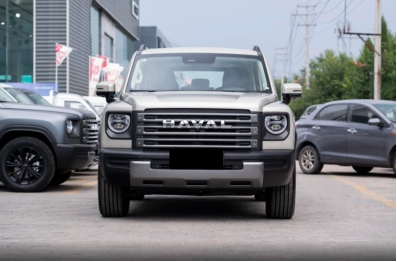 20万新能源车推荐 性价比之王选购指南(图3)