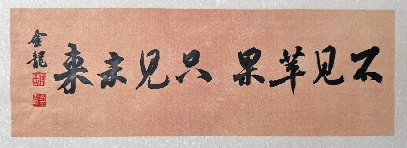 未来全屏通引领头显革命，颠覆苹果Vision Pro(图4)