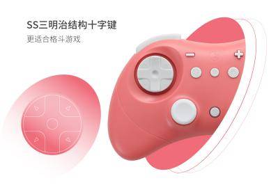 NS58 精灵2 手柄 中文-08