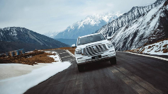 30万左右买什么车suv｜硬派越野与新能源全攻略