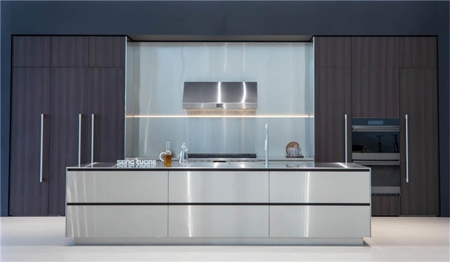 不锈钢高定新范式｜解锁健康厨房新趋势(图3)