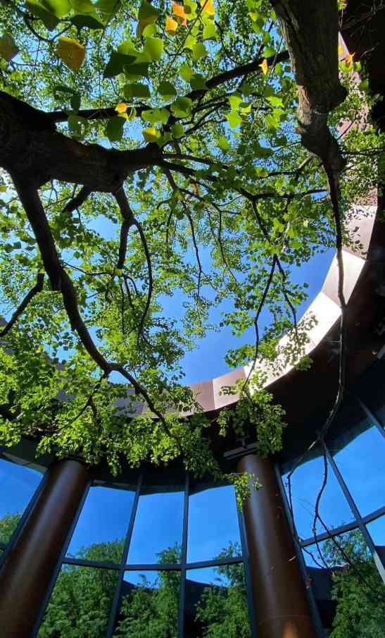 国风民宿设计美学｜泊心云舍的中式建筑艺术全攻略(图4)