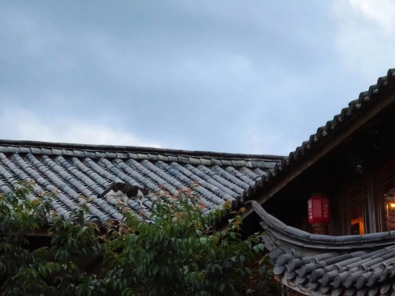 国风民宿设计美学｜泊心云舍的中式建筑艺术全攻略(图8)