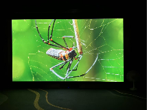 万元家庭影院投影仪推荐｜当贝S7UltraMax画质全攻略