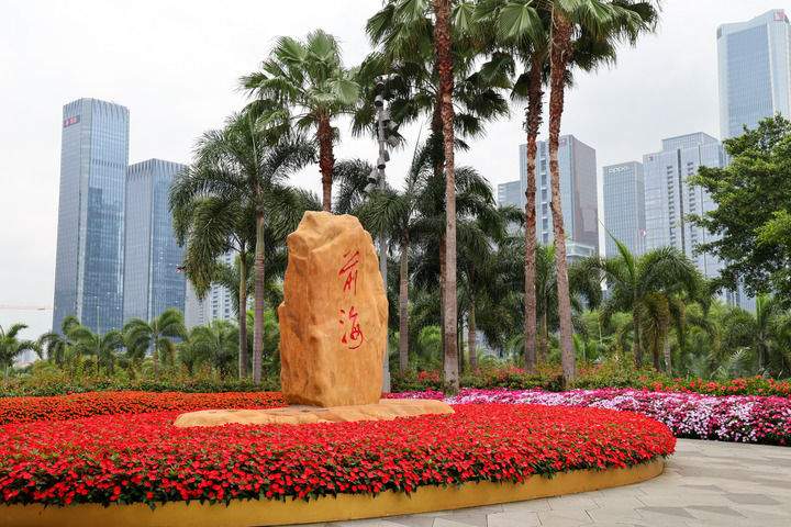 深圳改革开放再出发｜创新驱动发展新范例(图7)