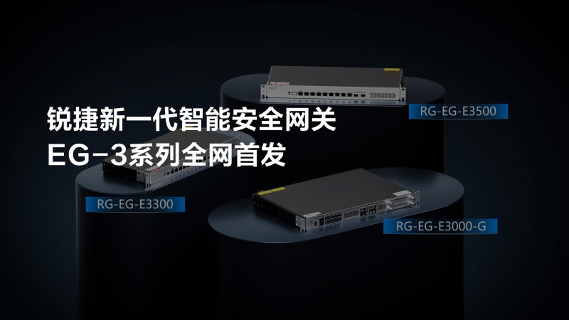 智能安全网关EG-E3系列｜网络出口一体化解决方案(图1)