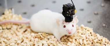 西湖国企数贸会首发多款科技新品｜创新方法论全攻略(图4)