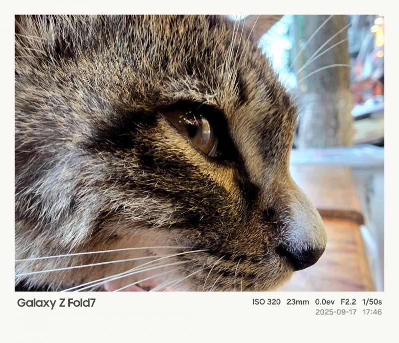 折叠屏影像新体验｜Galaxy Z系列解锁成都美学全攻略(图9)