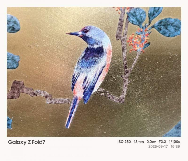 折叠屏影像新体验｜Galaxy Z系列解锁成都美学全攻略(图8)