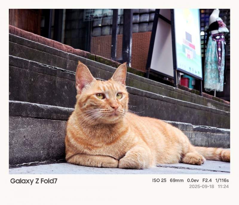 折叠屏影像新体验｜Galaxy Z系列解锁成都美学全攻略(图14)