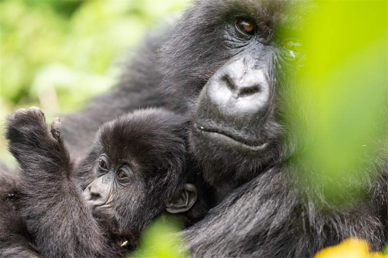 雕刻光影制胜瞬间｜索尼微单十五周年摄影展全攻略(图6)