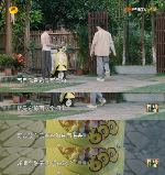 绿源携手向往生活，解锁治愈系骑行场景全攻略(图2)