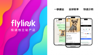 FlyLink入选世界互联网大会跨境电商实践案例｜创新商业模式解析(图2)