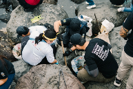 德国卡赫以世界清洁日为契机，践行可持续发展｜环保行动实录(图4)