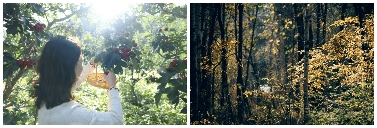 北京山谷全龄友好社区：开启三代同乐度假新生活｜实用指南(图6)