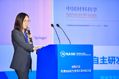 香港NAMI与苏州共筑材料未来科技成果推介会全攻略(图3)