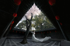 婚礼摄影器材革新：索尼微单助力创作新篇章(图3)