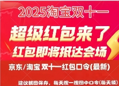 2025年双十一活动全攻略(图2)