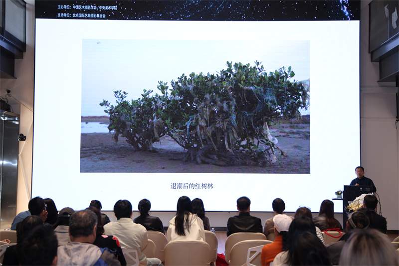 青年影像艺术100展｜索尼助力青年创作者探索未来影像之路(图13)