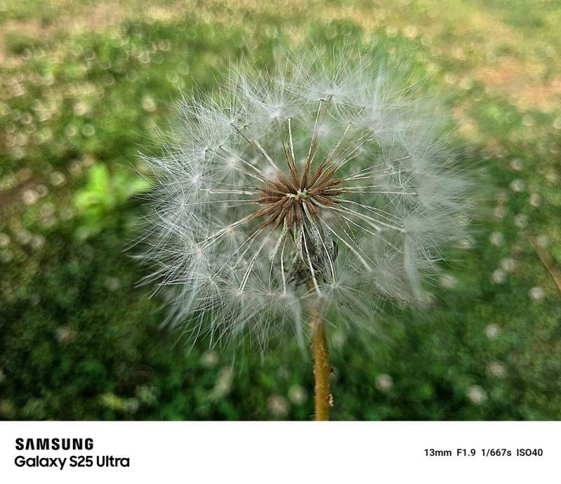 双11优惠上线 三星Galaxy S25系列换机不犹豫(图4)