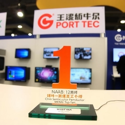 西人马荣获中国半导体MEMS十强企业荣誉，参展第十二届纳博会(图5)